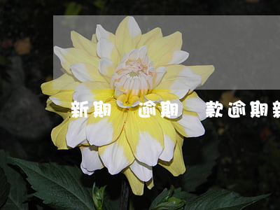 新期貸逾期 貸款逾期新規(guī)定