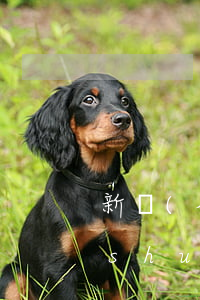 新樂(lè)債務(wù)合同律師選誰(shuí)