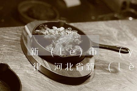 新樂(lè)市專業(yè)債務(wù)律師(河北省新樂(lè)市律師咨詢)