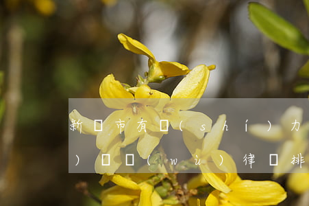 新樂市有實(shí)力的債權(quán)債務(wù)律師排名-新樂市有實(shí)力的債權(quán)債務(wù)律師排名第幾