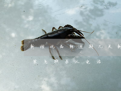 新橙优品能逾期几天(新橙优品逾期几天会打紧急联系人电话)