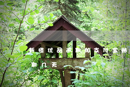 新橙优品逾期加支付宝账号(新橙优品最多逾期几天)