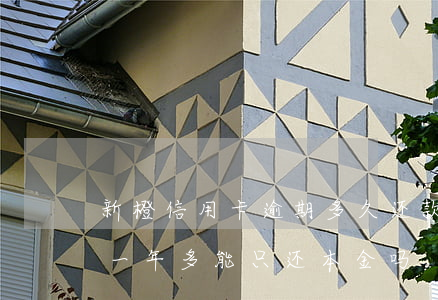 新橙信用卡逾期多久还款合适(新橙分期逾期一年多能只还本金吗)