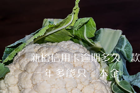 新橙信用卡逾期多久還款合適(新橙分期逾期一年多能只還本金嗎)