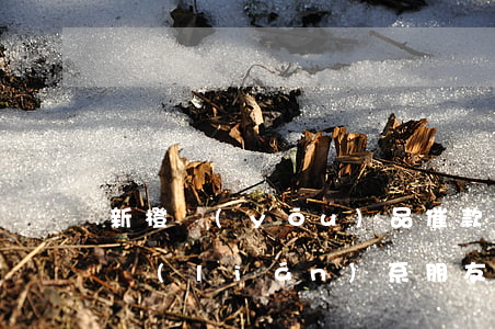 新橙優(yōu)品催款幾天會(huì)聯(lián)系朋友（新橙逾期發(fā)信息給我催朋友的）