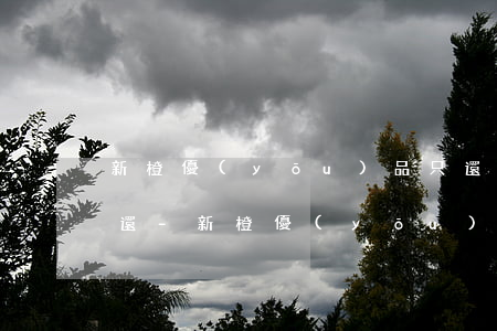 新橙優(yōu)品只還本金不還利息怎么還-新橙優(yōu)品只還本金不還利息怎么還不了