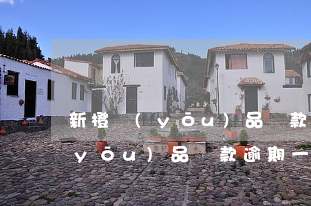 新橙優(yōu)品貸款逾期一年(新橙優(yōu)品貸款逾期一年)