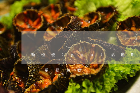 新橙優(yōu)品逾期一天聯(lián)系緊急聯(lián)系人-新橙優(yōu)品逾期幾天打緊急聯(lián)系人