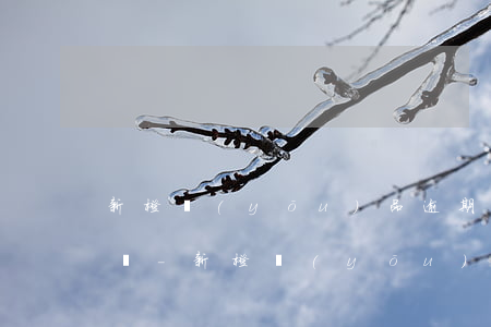 新橙優(yōu)品逾期一天還清了還能用嗎-新橙優(yōu)品逾期一天還清了還能用嗎