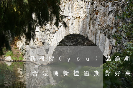 新橙優(yōu)品逾期利息怎么會那么高合法嗎（新橙逾期費好高哦）