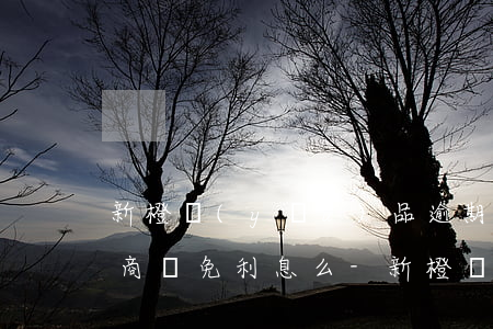 新橙優(yōu)品逾期可以協(xié)商減免利息么-新橙優(yōu)品逾期利息怎么會(huì)那么高合法嗎