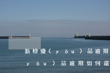 新橙優(yōu)品逾期如何還款(新橙優(yōu)品逾期如何還款)