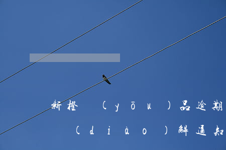 新橙優(yōu)品逾期會發(fā)訴前調(diào)解通知嗎-新橙優(yōu)品逾期會發(fā)訴前調(diào)解通知嗎知乎