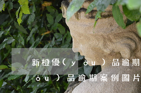 新橙優(yōu)品逾期案例-新橙優(yōu)品逾期案例圖片