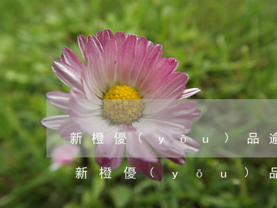 新橙優(yōu)品逾期發(fā)律師函(新橙優(yōu)品寄律師函)