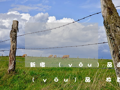 新橙優(yōu)品逾期還款怎么還(新橙優(yōu)品還放款嗎)
