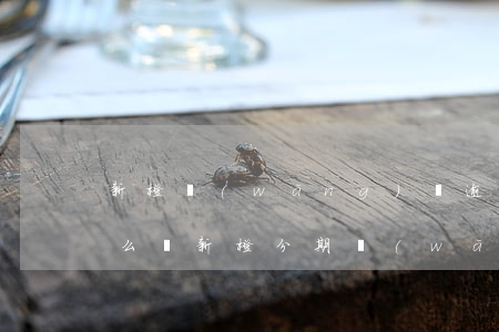 新橙網(wǎng)貸逾期會(huì)怎么樣(新橙分期網(wǎng)貸合法嗎)