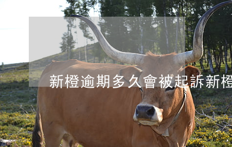 新橙逾期多久會被起訴 新橙貸款逾期