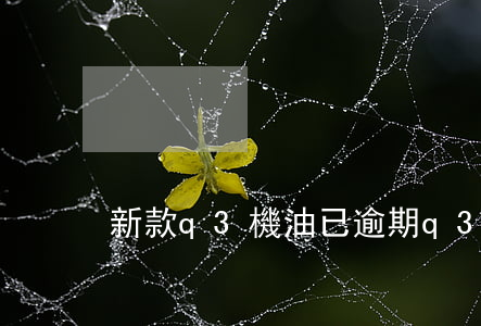 新款q3機油已逾期(q3新車提示換機油)