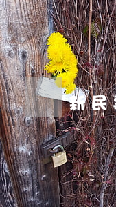 新民事訴訟法對信用卡逾期的影響-新民事訴訟法對信用卡逾期的影響有哪些