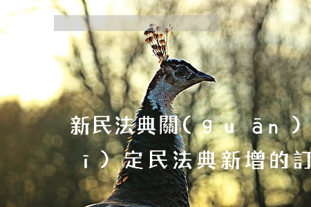 新民法典關(guān)于遺囑的規(guī)定(民法典新增的訂立遺囑形式)