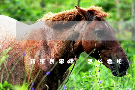 新沂民事律師怎么委托
