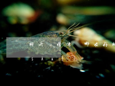 新沂離婚律師哪家好(新沂最好的律師是誰(shuí))