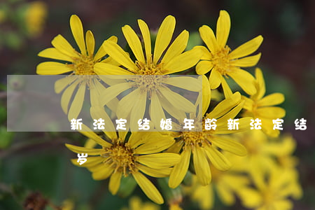 新法定结婚年龄(新法定结婚年龄下调为18岁)