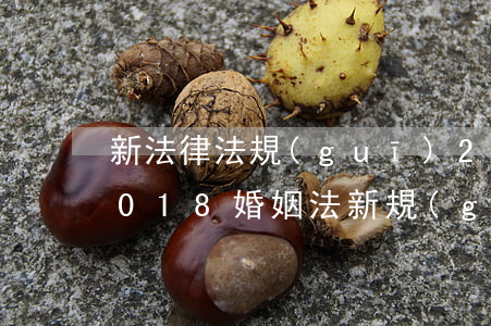 新法律法規(guī)2018婚姻法(2018婚姻法新規(guī)定)