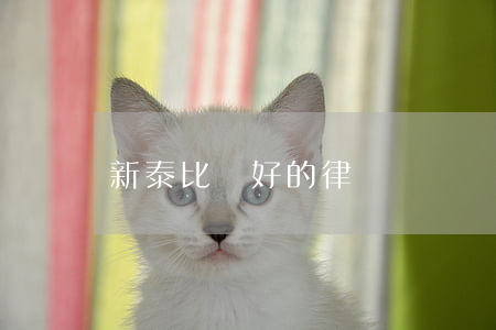 新泰比較好的律師