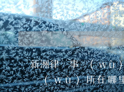 新洲律師事務(wù)所在哪里(新津律師事務(wù)所在哪里)
