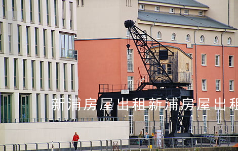 新浦房屋出租(新浦房屋出租最新消息)