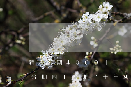 新浪分期4000十二個月每月還多少（新浪分期四千逾期了十年利息多少）