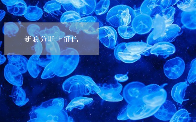 新浪分期上征信嗎
