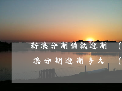 新浪分期借款逾期會(huì)被起訴嗎(新浪分期逾期多久會(huì)被起訴:有規(guī)定嗎?)