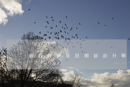 新浪分期免息期(新浪分期有寬限期嗎)