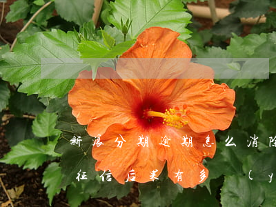 新浪分期逾期怎么消除(新浪分期逾期多久上征信?后果有多嚴(yán)重?)