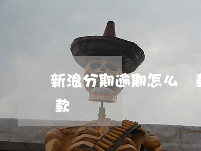 新浪分期逾期怎么還款(新浪分期打電話催還款)