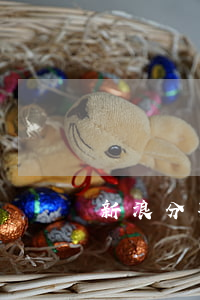 新浪分期逾期打官司(新浪分期逾期打官司)