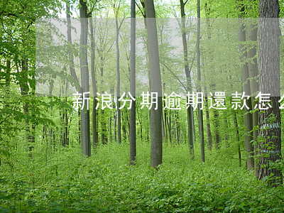 新浪分期逾期還款怎么樣