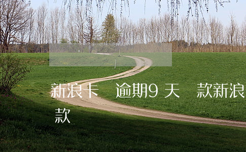 新浪卡貸逾期9天還款(新浪分期遲了一天還款)