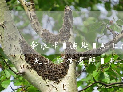 新浪卡貸逾期兩天上征信嗎(新浪分期逾期幾天上征信逾期幾天上征信)
