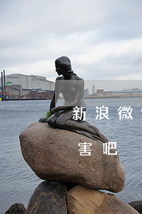 新浪微博分期逾期三天(微博分期逾期催收厲害吧)