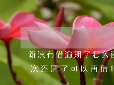 新浪有借逾期了怎么还款(新浪金融逾期了一次还清了可以再借吗)