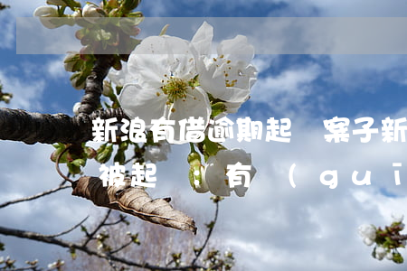 新浪有借逾期起訴案子(新浪分期逾期多久會被起訴:有規(guī)定嗎)