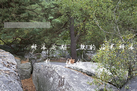 新浪逾期還款的后果(新浪金融逾期一直不還會影響征信嗎)