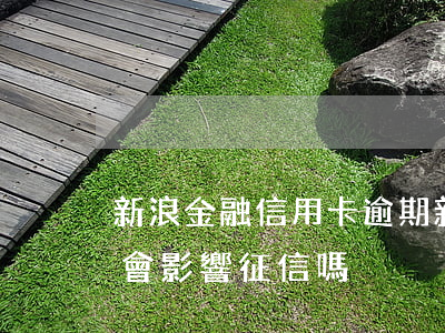 新浪金融信用卡逾期 新浪金融逾期一直不還會影響征信嗎