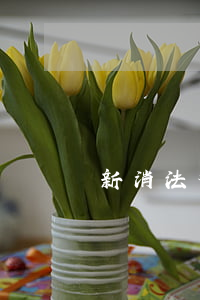 新消法对于明星代言虚假产品是如何规定的