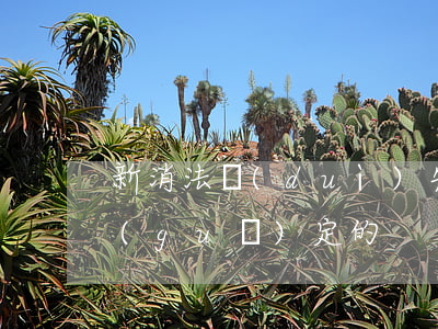 新消法對(duì)先行賠付制度是如何規(guī)定的