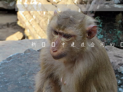 新準則中建造合同的賬務處理